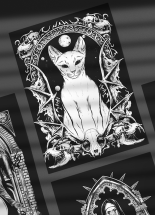 WITCHERS CAT - ALU BILD - BILDER